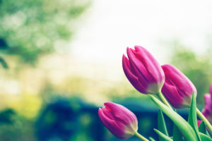 Read more about the article Spring is the Season: For the perfect event in Mykonos!